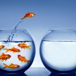 personal-leadership-coaching personal-leadership-coaching